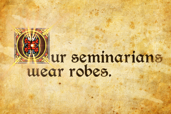 CTS | Seminarians do what?